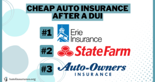 Auto Insurance for Drivers with DUIs