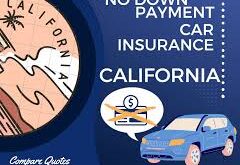 Auto Insurance with No Down Payment