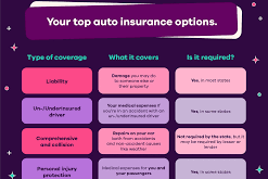 State-Specific Auto Insurance Rules