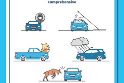 Comprehensive Versus Collision Coverage